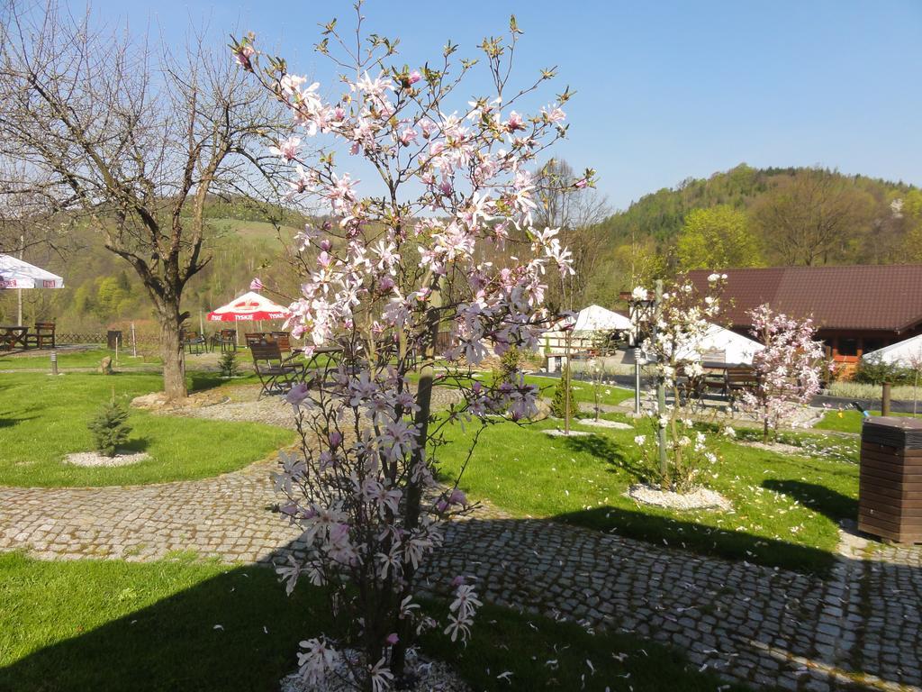 Chata Nad Sztolnia Bystrzyca Górna Exteriör bild