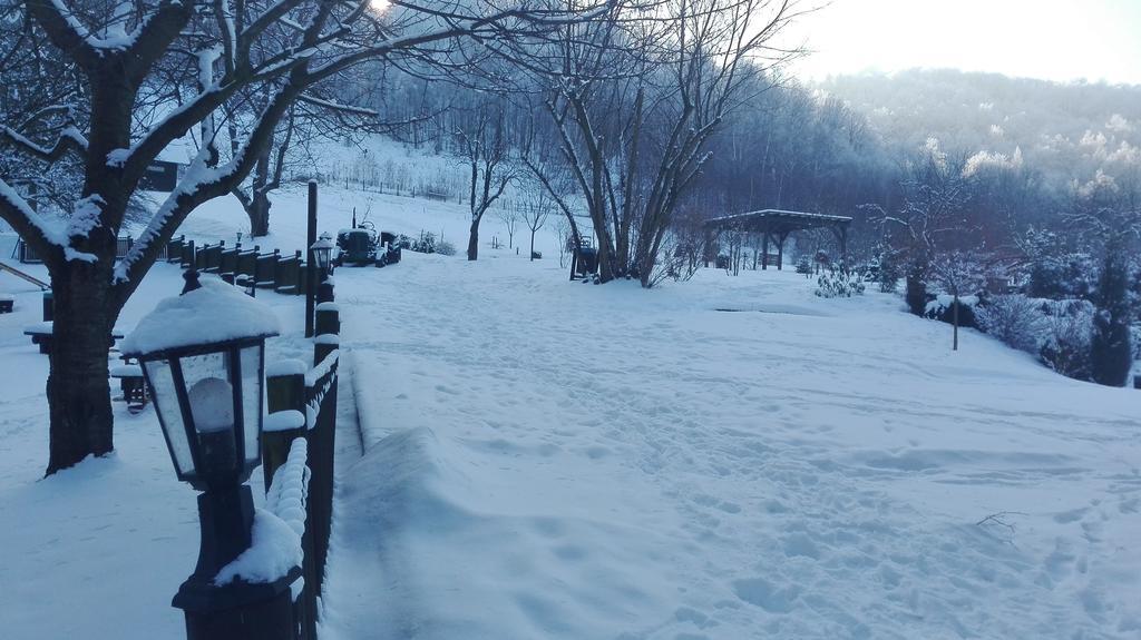 Chata Nad Sztolnia Bystrzyca Górna Exteriör bild